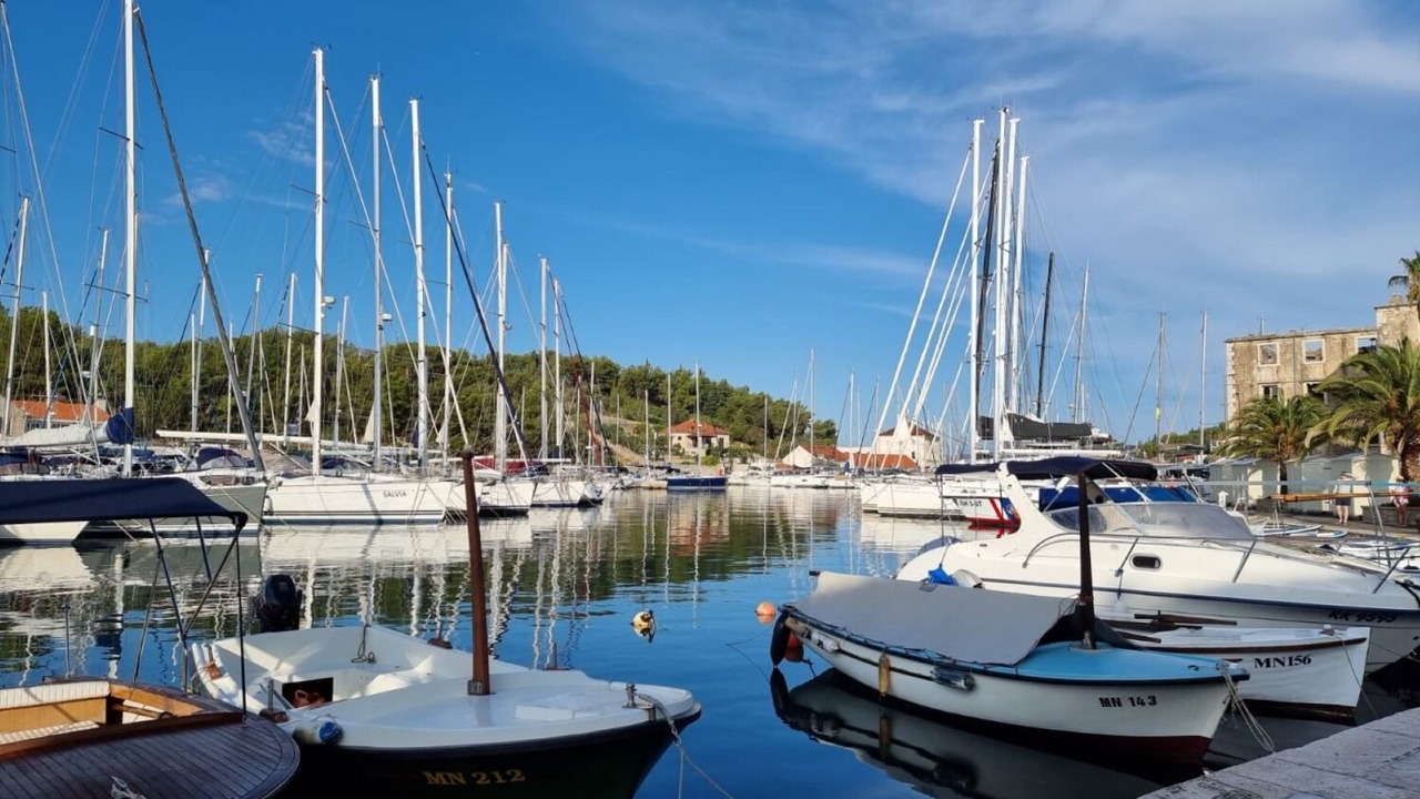 Photo of Others in Cove Osibova (Milna)