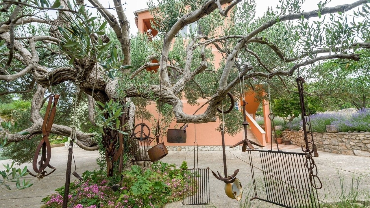 Photo of Outdoor in Bozava