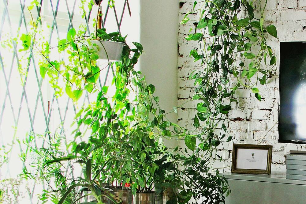Photo of Patio Balcony in Donji Grad