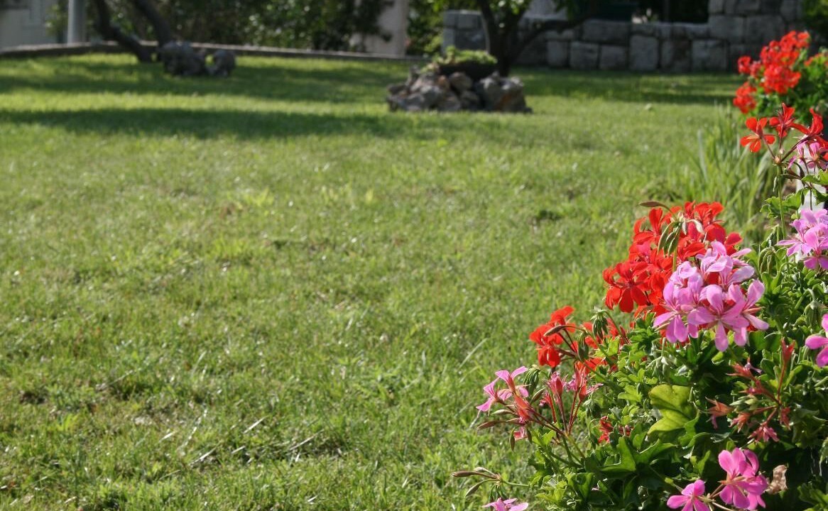 Photo of Outdoor in Brist