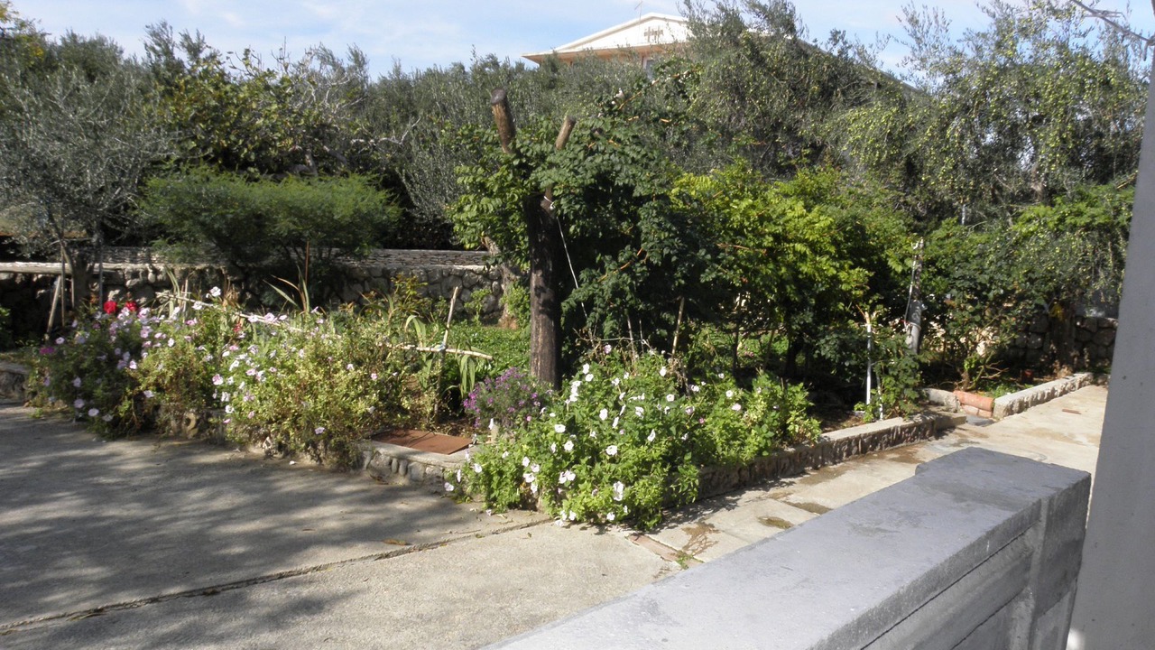 Photo of Outdoor in Povljana