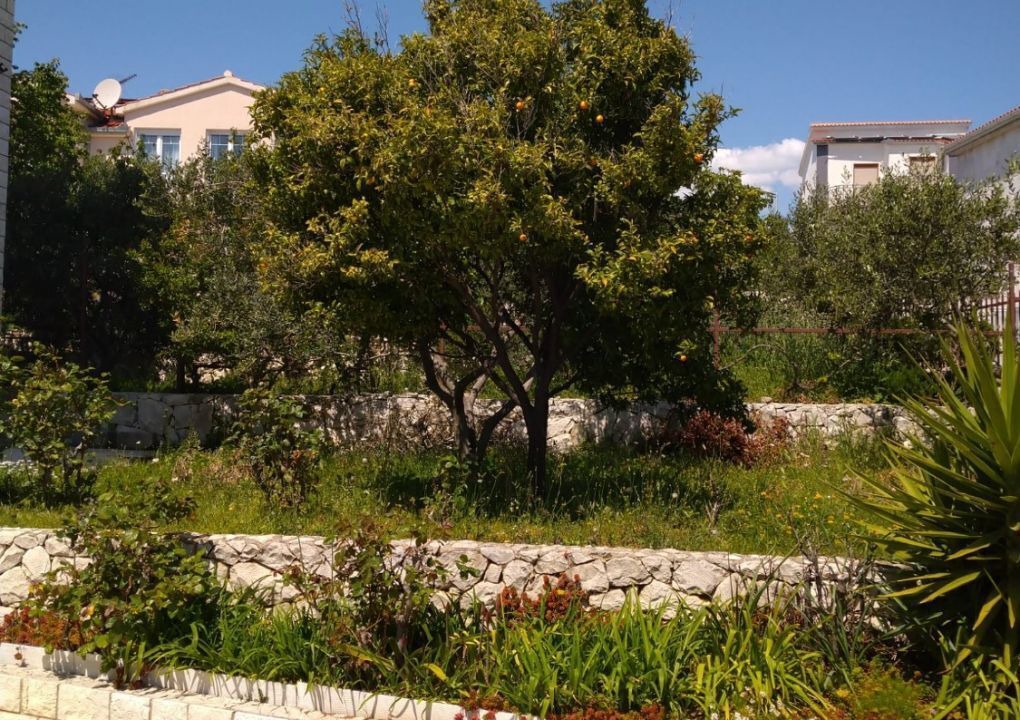 Photo of Outdoor in Okrug Gornji