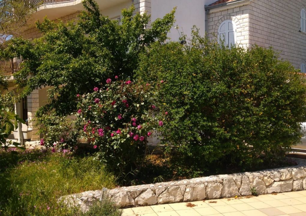 Photo of Outdoor in Okrug Gornji