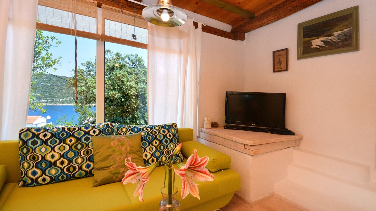 Photo of Livingroom in Veliki Drvenik