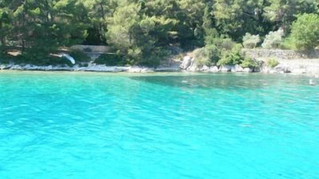 Photo of Outdoor in Molat
