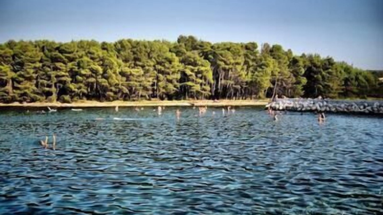 Photo of Others in Molat