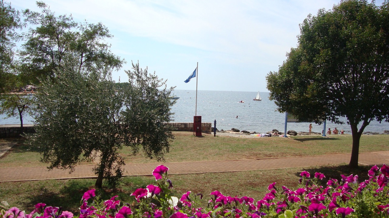 Photo of Others in Karigador