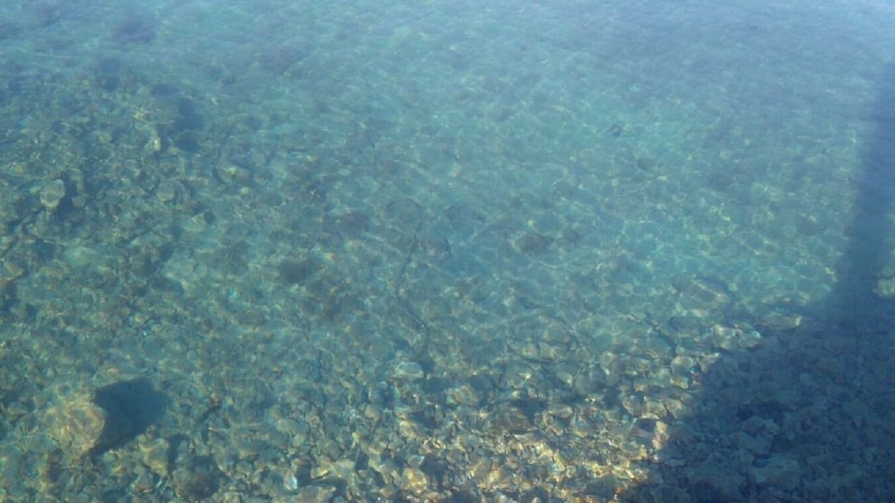 Photo of Others in Luka