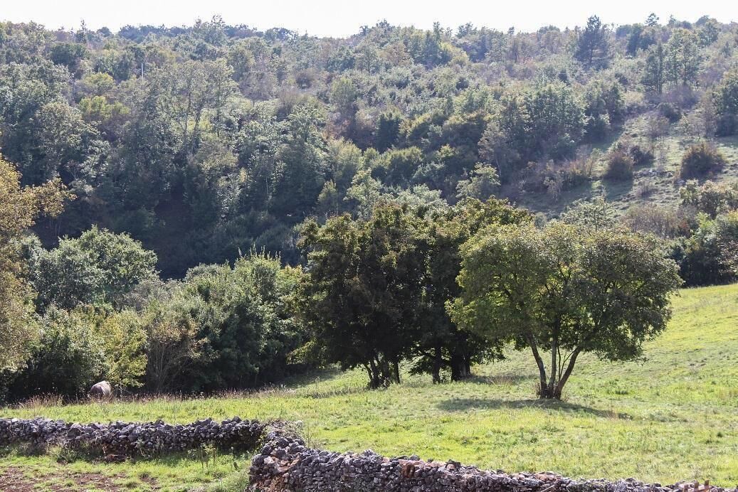 Photo of Others in Gradisce