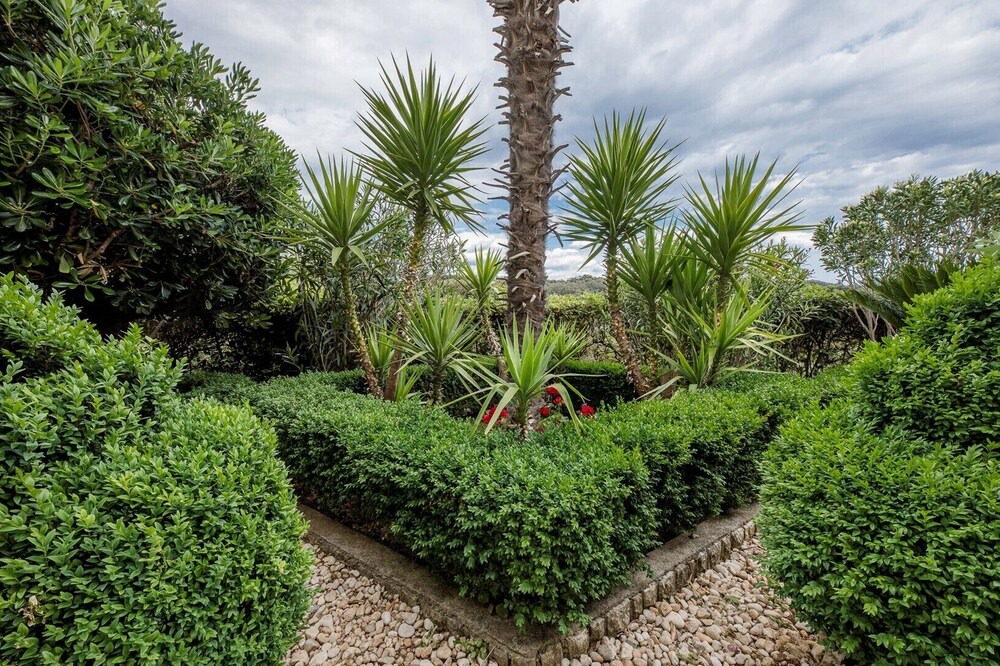 Photo of Outdoor in Suha Punta