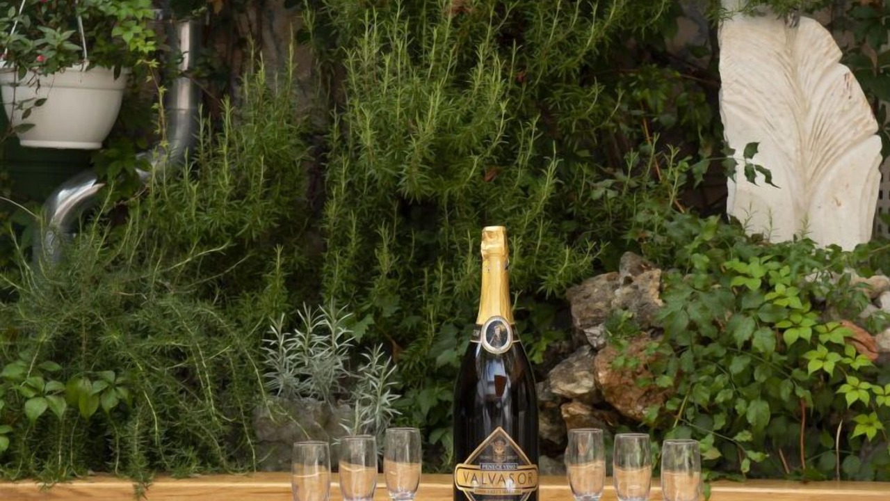 Photo of Outdoor in Cista Velika