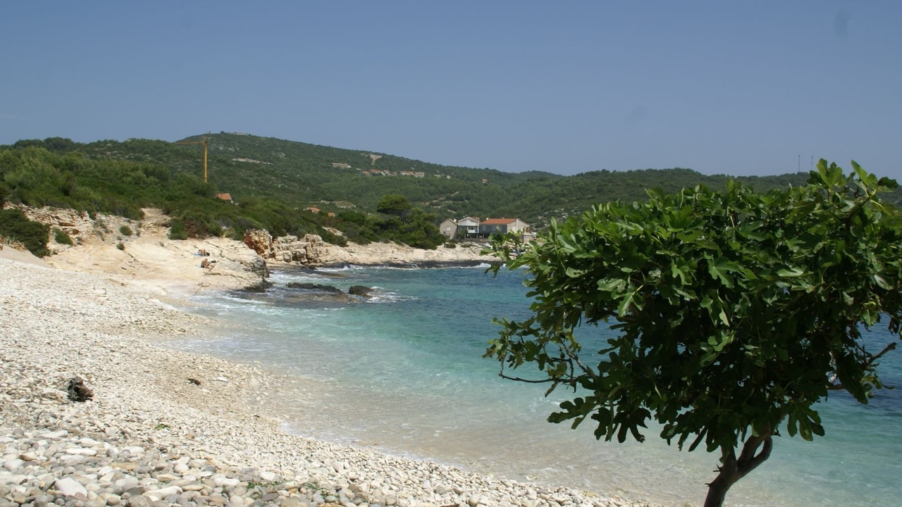 Photo of Others in Vis