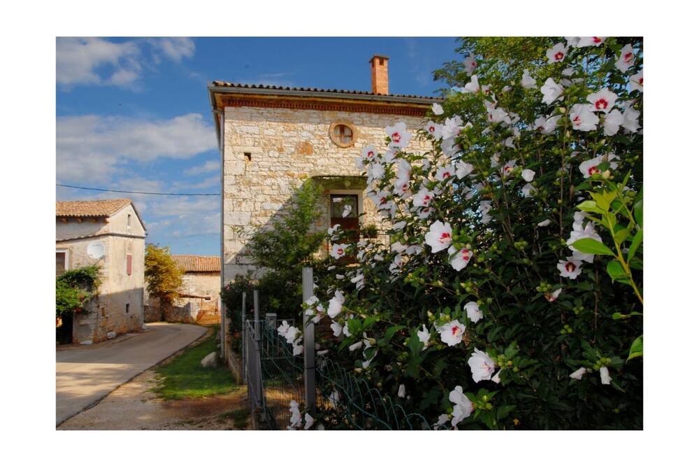 Photo of Outdoor in Gedici
