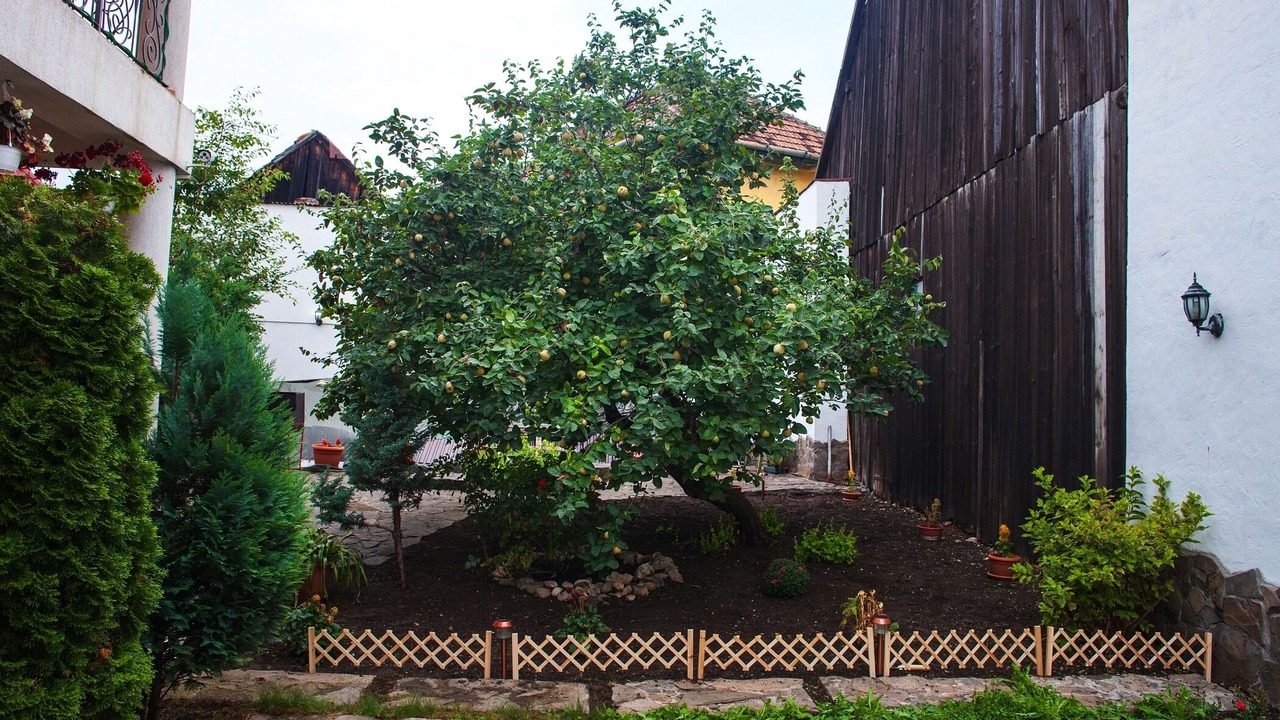 Photo of Outdoor in Vladeni