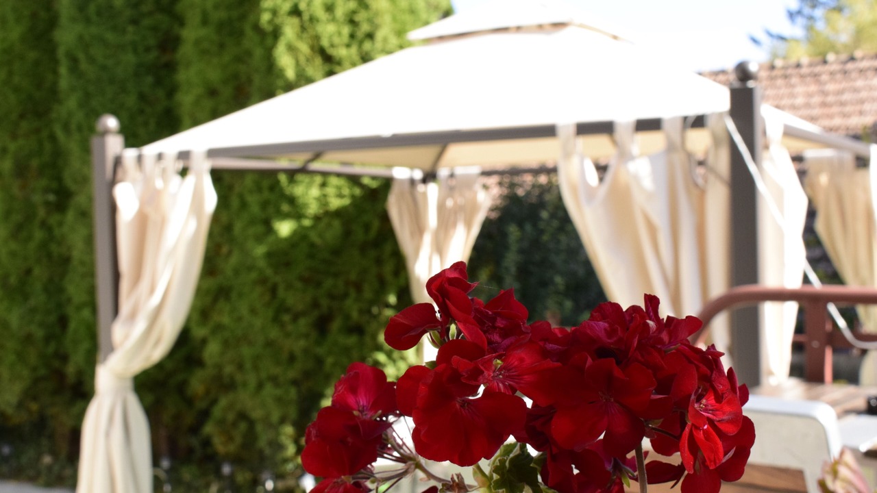 Photo of Outdoor in Sinaia