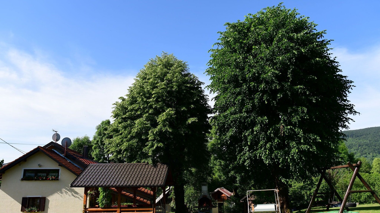 Photo of Outdoor in Seliste Dreznicko