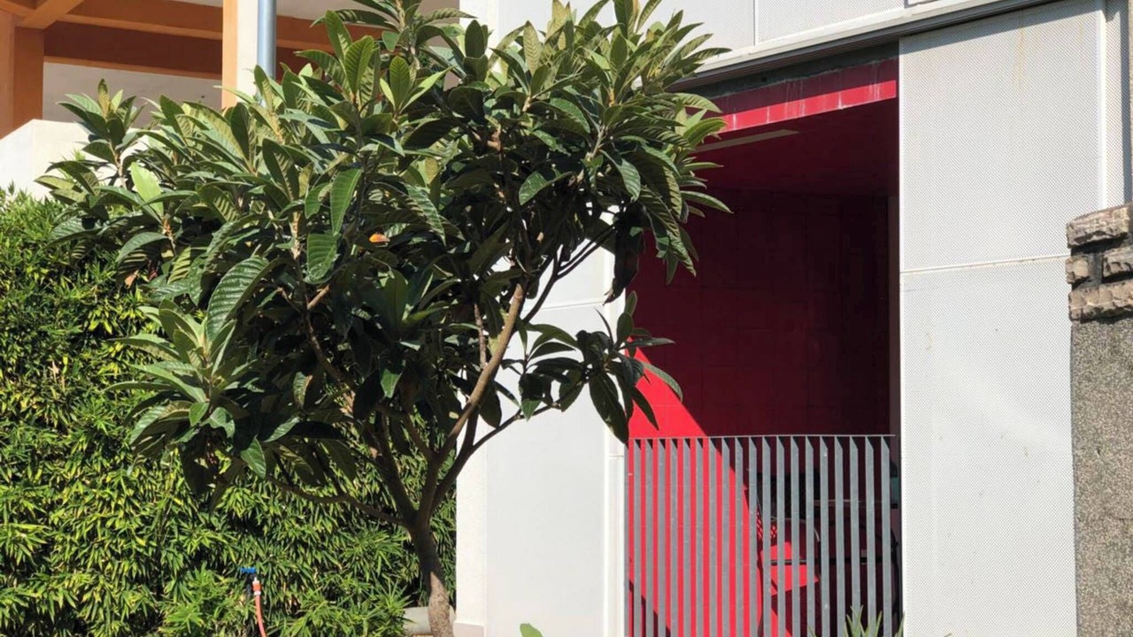 Photo of Patio Balcony in Pakostane