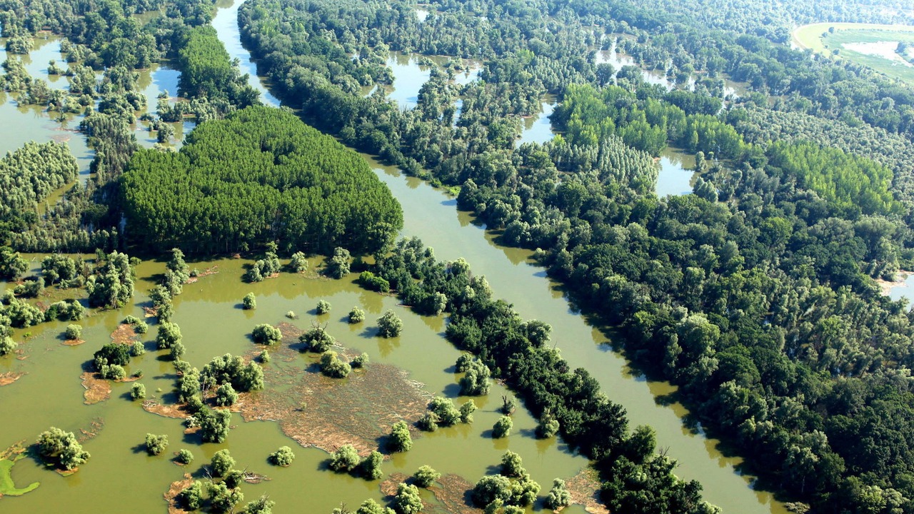Photo of Outdoor in Bilje