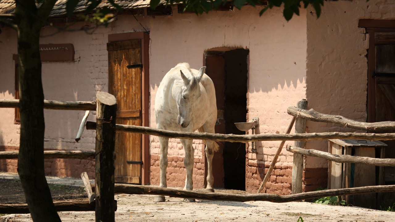 Photo of Outdoor in Bilje