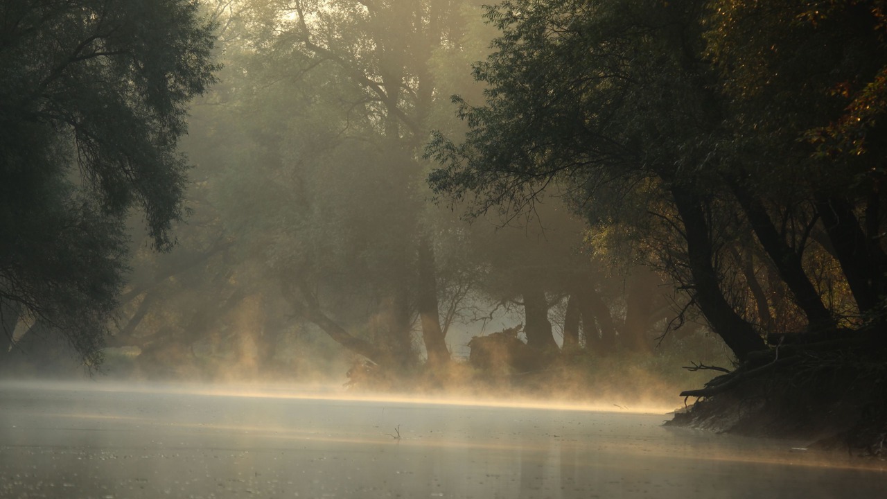 Photo of Outdoor in Bilje