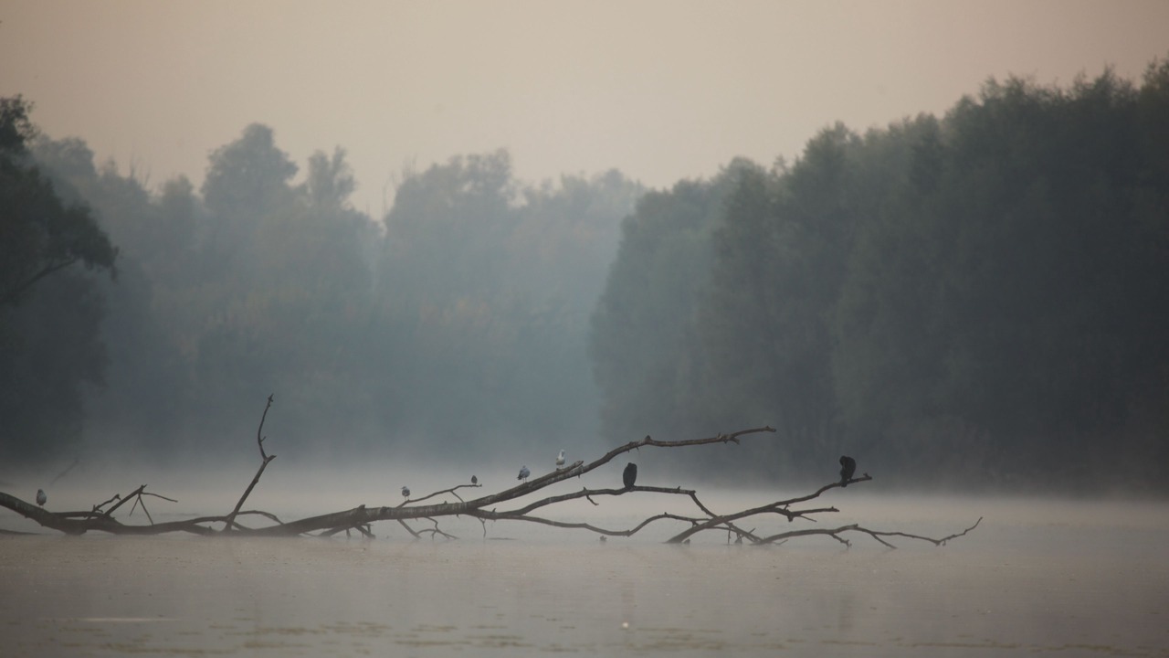 Photo of Outdoor in Bilje