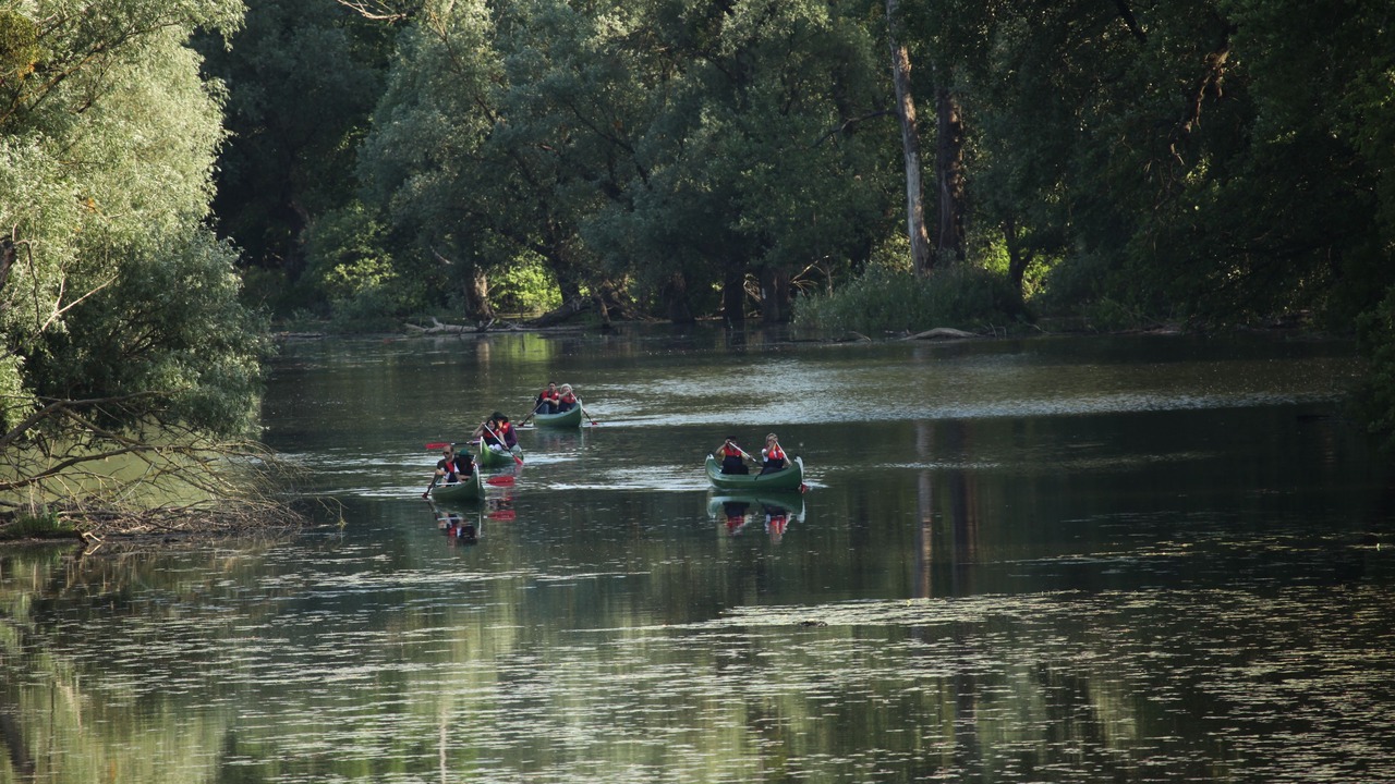 Photo of Others in Bilje