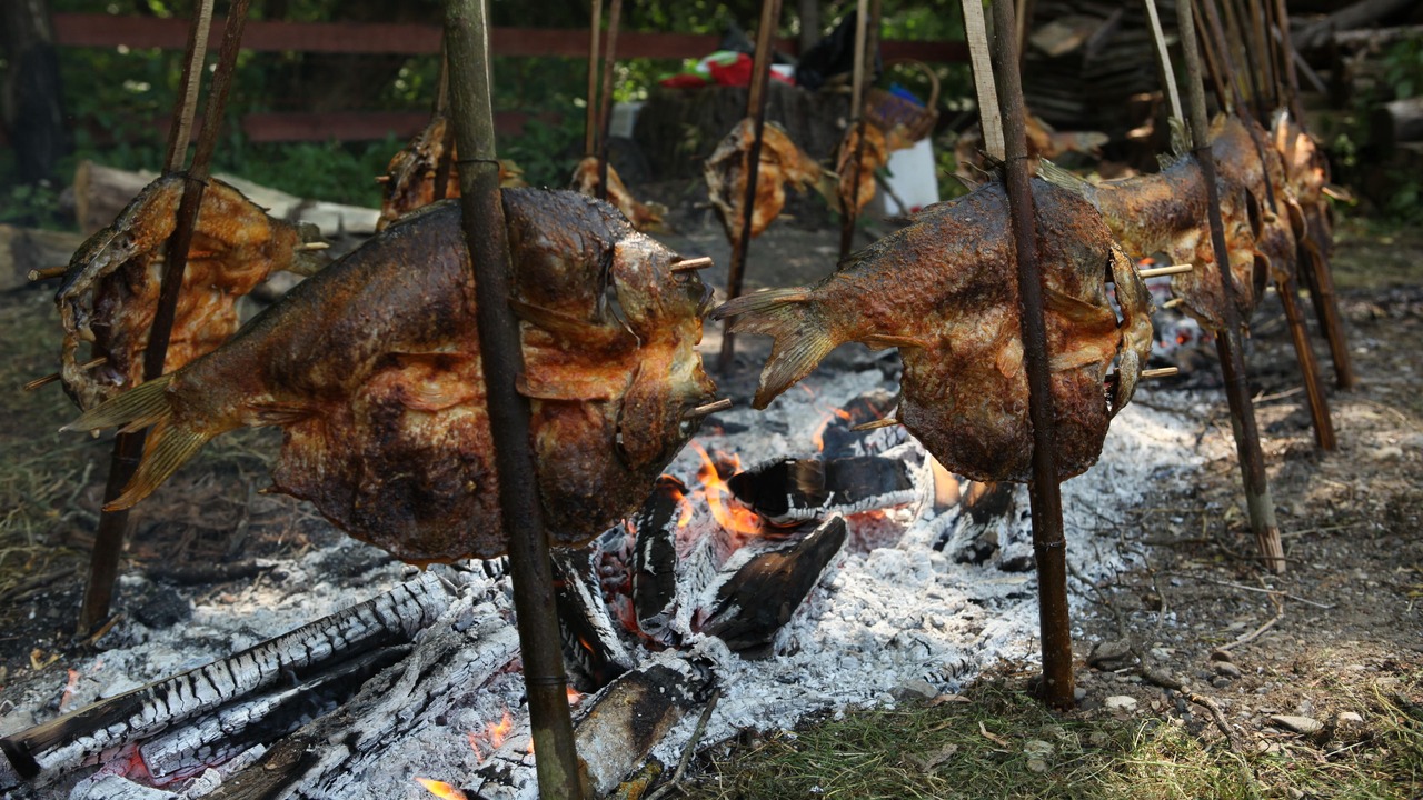Photo of Outdoor in Bilje