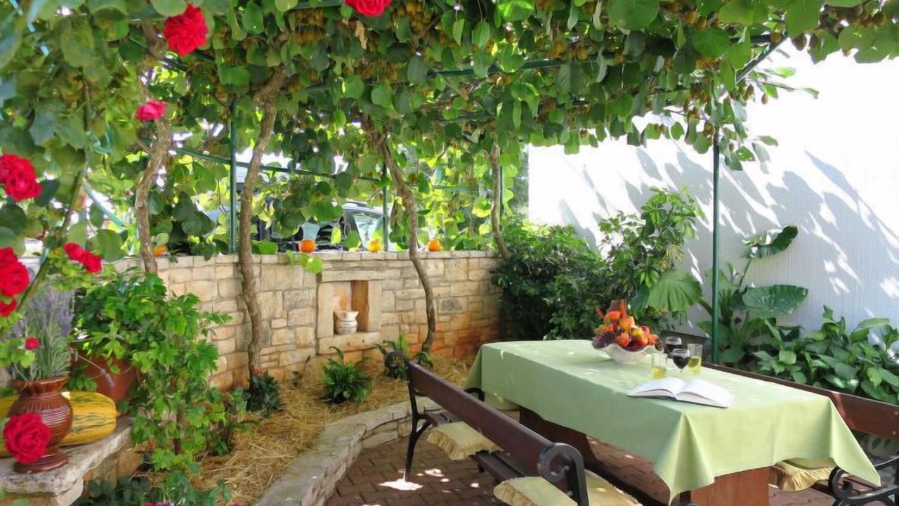 Photo of Outdoor in Foli
