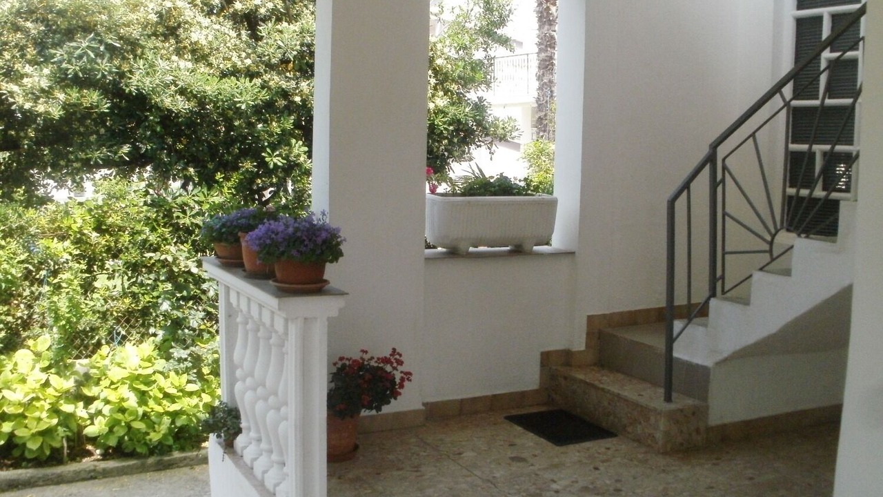 Photo of Others in Bibinje