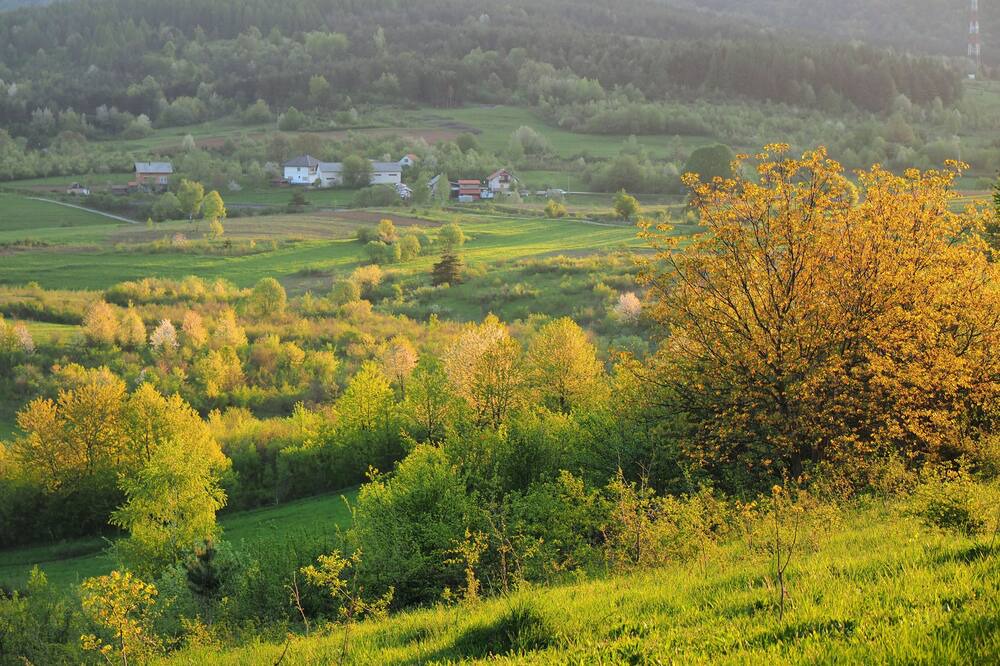 Photo of Others in Plaski
