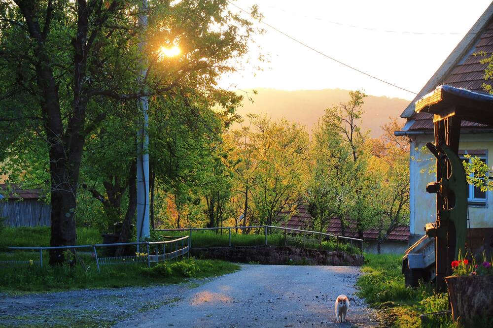 Photo of Outdoor in Plaski