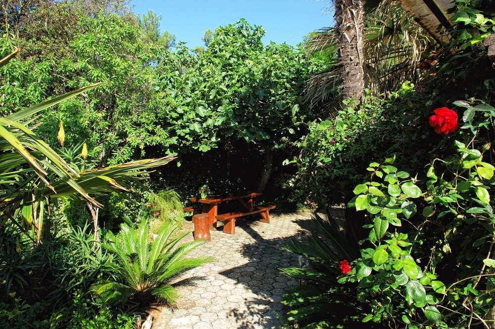 Photo of Outdoor in Punta Kriza