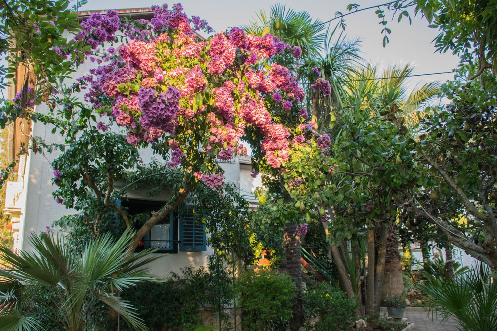 Photo of Outdoor in Punta Kriza