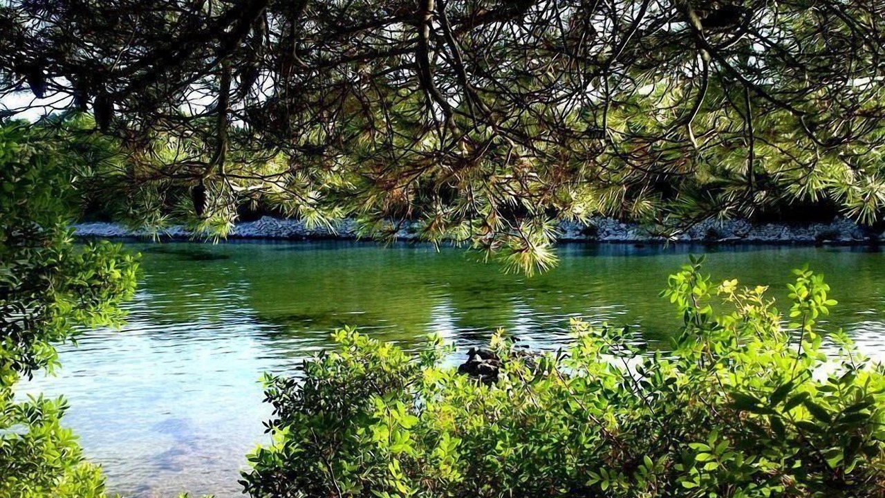 Photo of Others in Molat