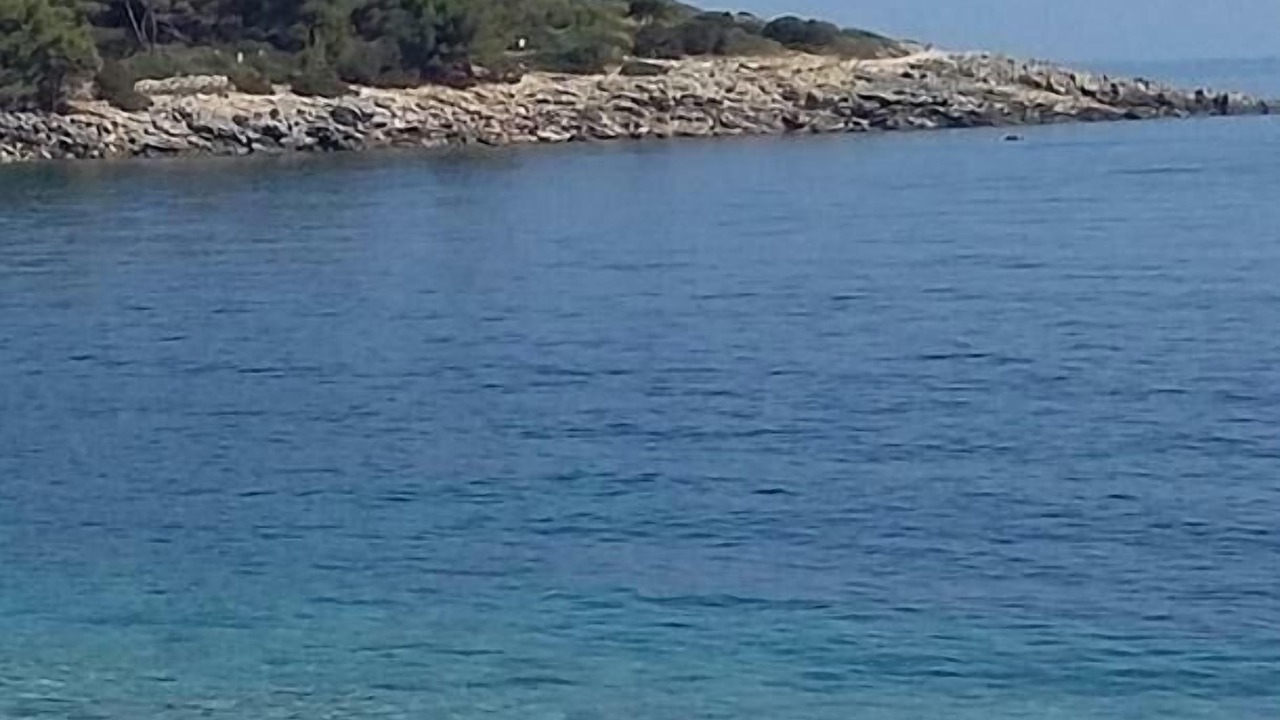 Photo of Others in Cove Murtar
