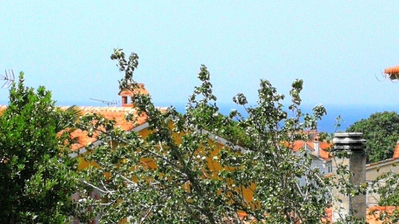 Photo of Others in Vabriga