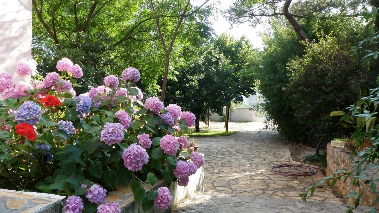 Photo of Outdoor in Bibinje