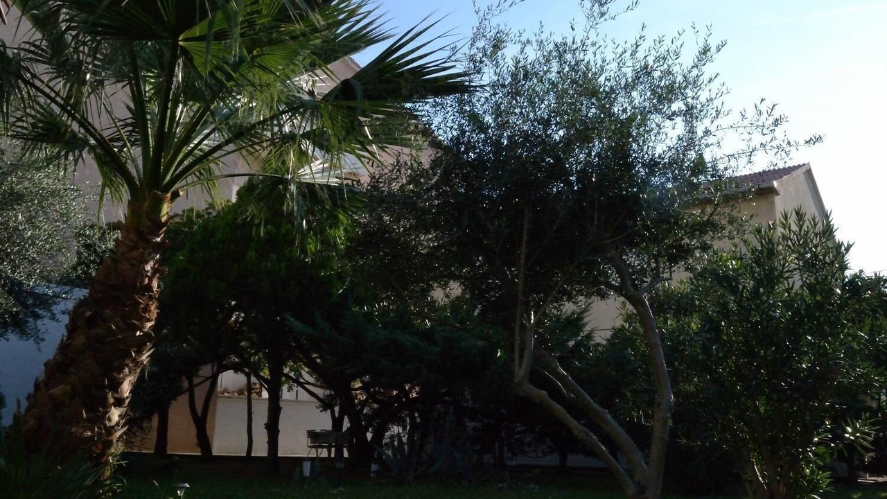Photo of Outdoor in Pag