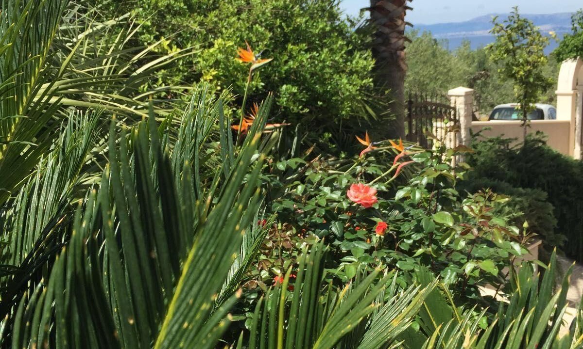Photo of Outdoor in Splitska