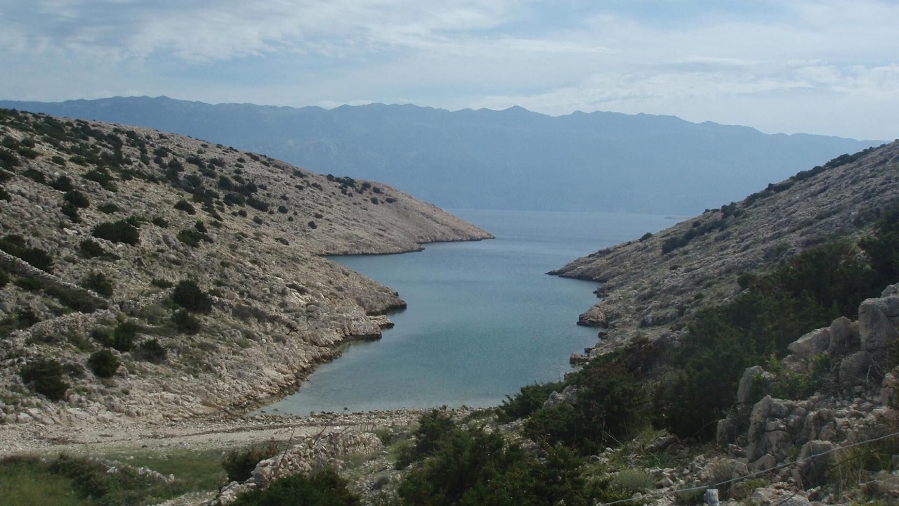 Photo of Others in Novalja