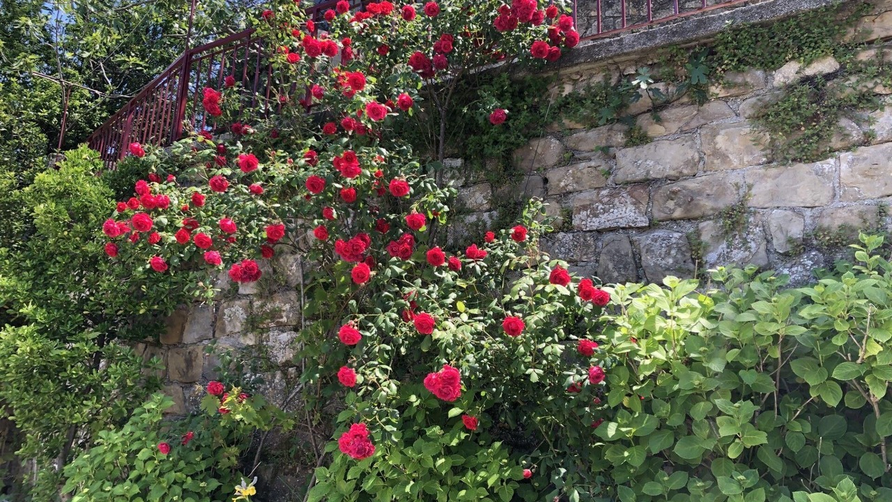 Photo of Outdoor in Rab Town