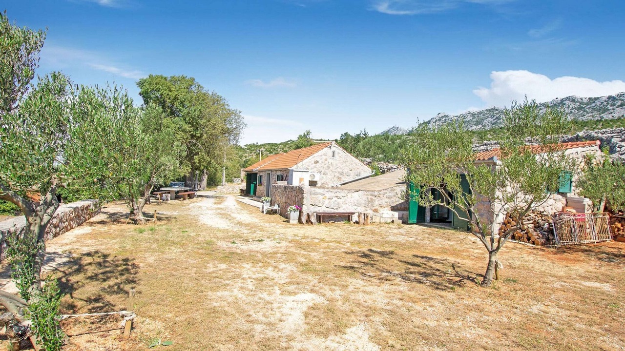 Photo of Others in Seline