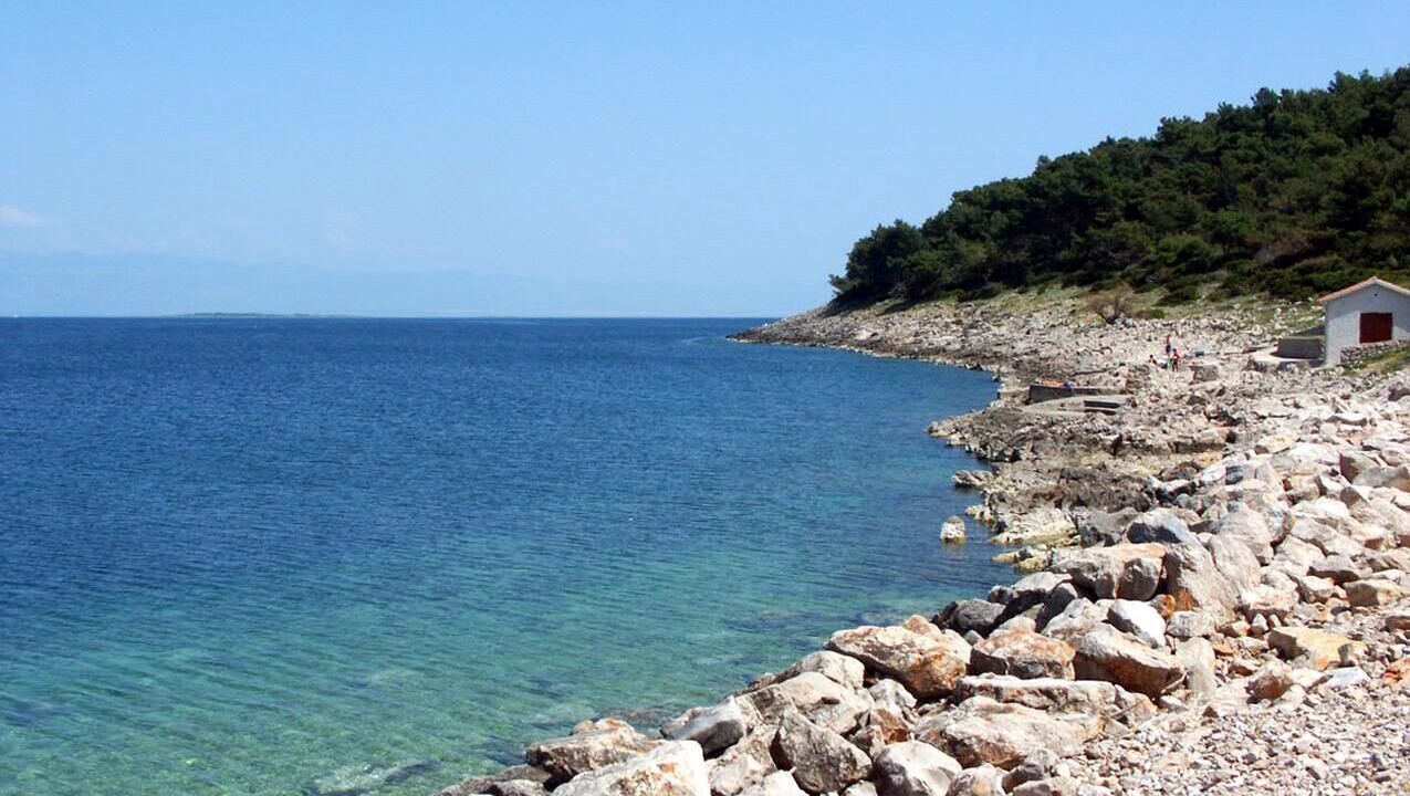 Photo of Others in Cove Murtar
