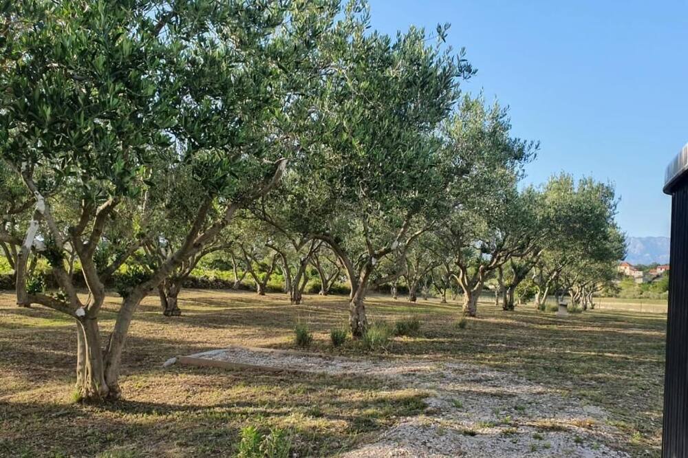 Photo of Outdoor in Murvica