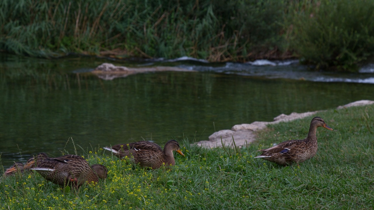 Photo of Outdoor in Trnbusi