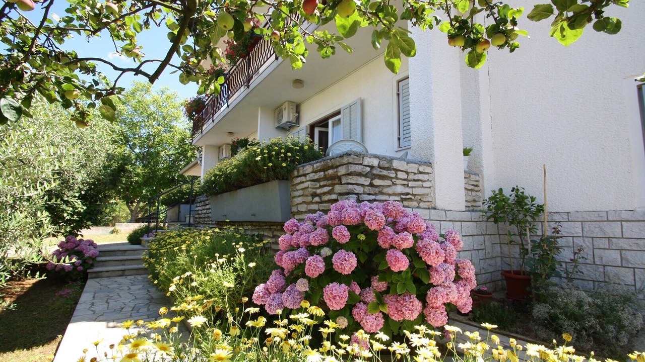 Photo of Outdoor in Porec