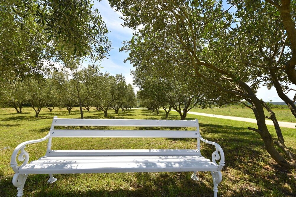 Photo of Outdoor in Tinj