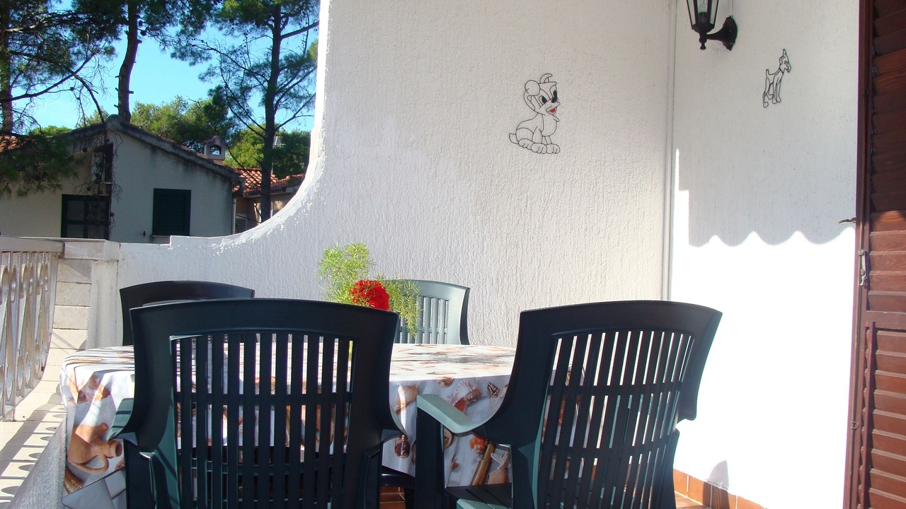 Photo of Outdoor in Jadrija