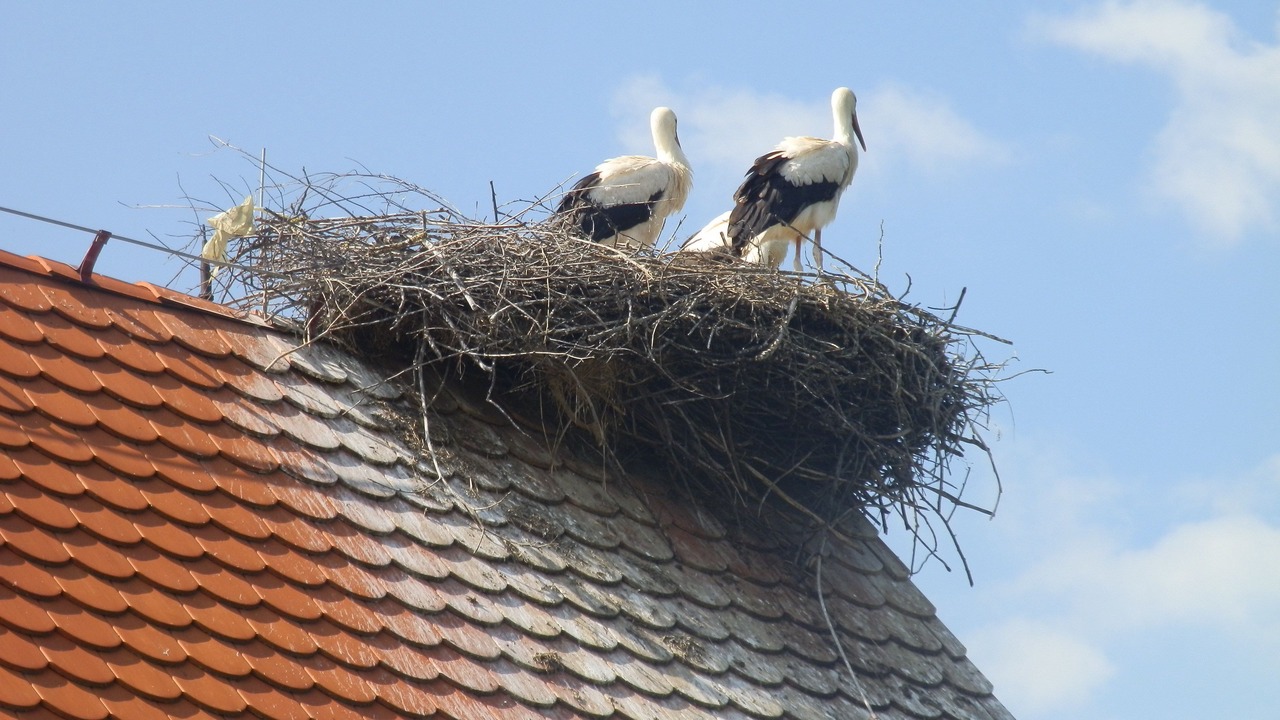 Photo of Outdoor in Sisak