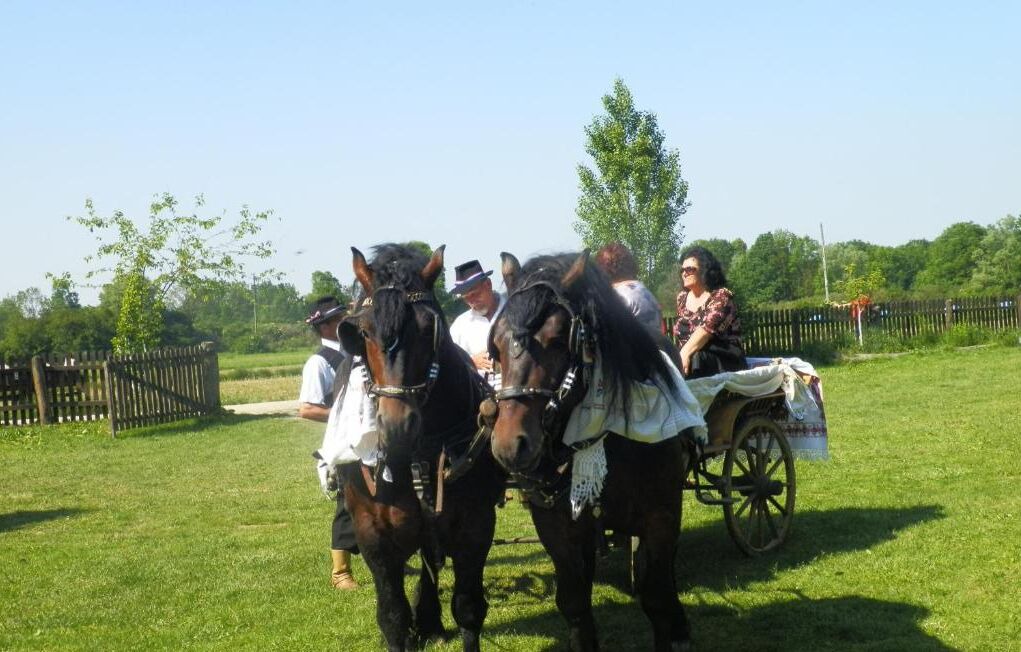 Photo of Outdoor in Sisak